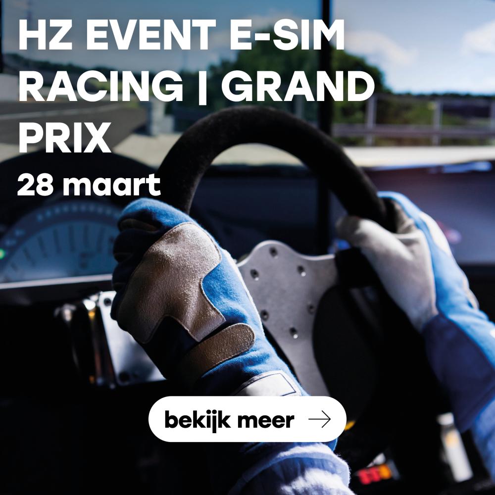HZ E-sim-racing